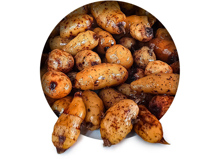 Tigernüsse und Partikel Angelfertig