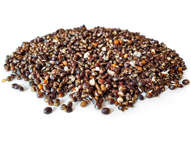 Hanfsamen Angelfertig 5KG