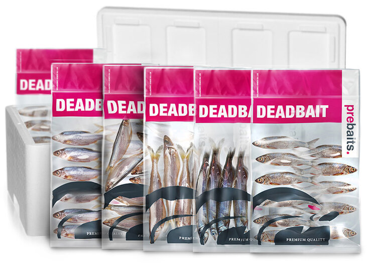 K&ouml;derfisch Zanderbox Medium