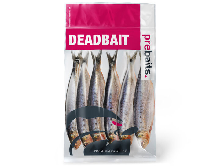 K&ouml;derfische Sardinen Gro&szlig; - Vakuumverpackt | 15-23CM | 4-8ST