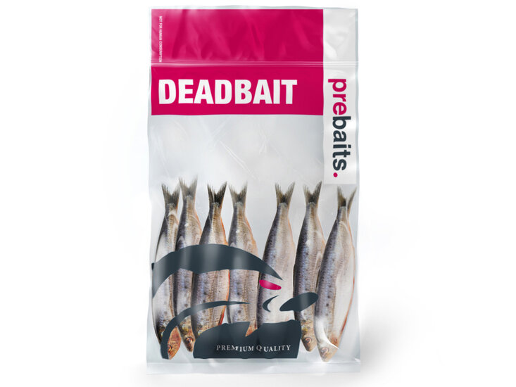 K&ouml;derfische Sardinen Klein - Vakuumverpackt | 12-18CM | 5-7ST