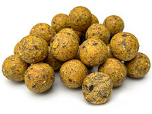 Hanf Buchweizen Vanille Boilies 2,5KG