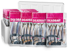 Statische K&ouml;derfisch Hechtbox Large