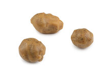 Tigernuts Fox
