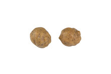 Tigernuts Fox
