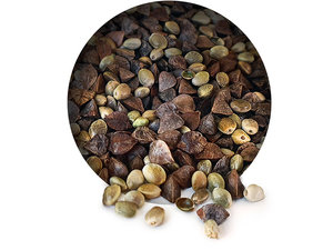 Hanf Buchweizen Partikel Mix