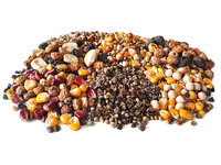 Partikelmischungen: Trocken, fertig zum Gebrauch, haltbar