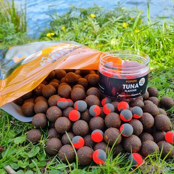 Karpfenangeln mit Boilies - Tipps für Anfänger