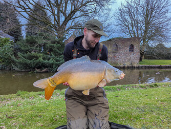 Bringe Schwung hinein!