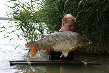 Karpfenangeln am Merenye in Ungarn!