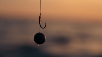 Boilies, pellets und popups