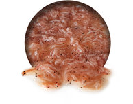 Krill Frisch Krill Frisch