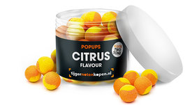 Citrus Pop-ups Orange/Gelb
