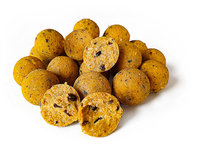 Ultimate Scopex Boilies 100KG Ultimate Scopex Boilies 100KG