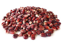 Mais Rot 10KG Mais Rot 10KG
