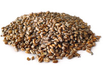 Weizen 5KG Weizen 5KG