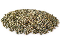 Hanfsamen 2,5KG Hanfsamen 2,5KG