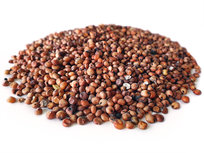 Dari Rot 5KG Dari Rot 5KG