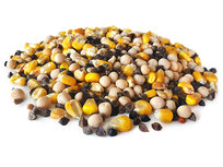 Ultimate Partikel Mix 20KG Ultimate Partikel Mix 20KG