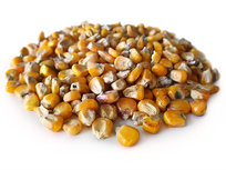 Mais Gelb 2,5KG Mais Gelb 2,5KG